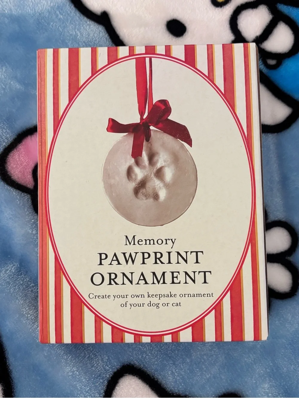 Paw print ornament kit